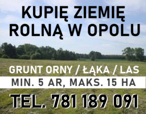 Tel. 781 189 091